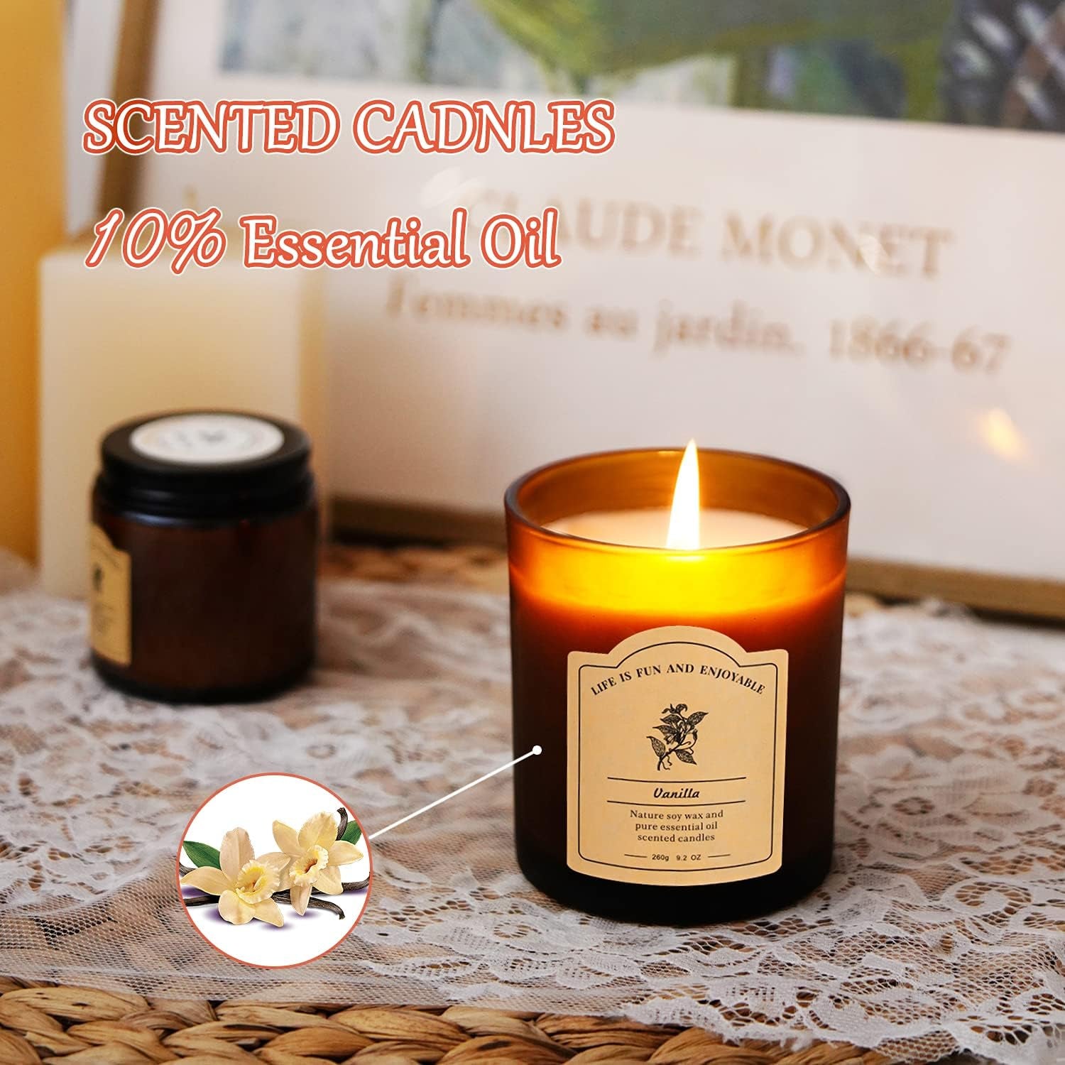 Vanilla Scented Candles for Home, All Natural Soy Wax Candles with Essential Oils, Highly Scented Beeswax Candles, Aromatherapy Candles for Sleep Aid, 9.2Oz, Clean Burning(Vanilla, Coconut)