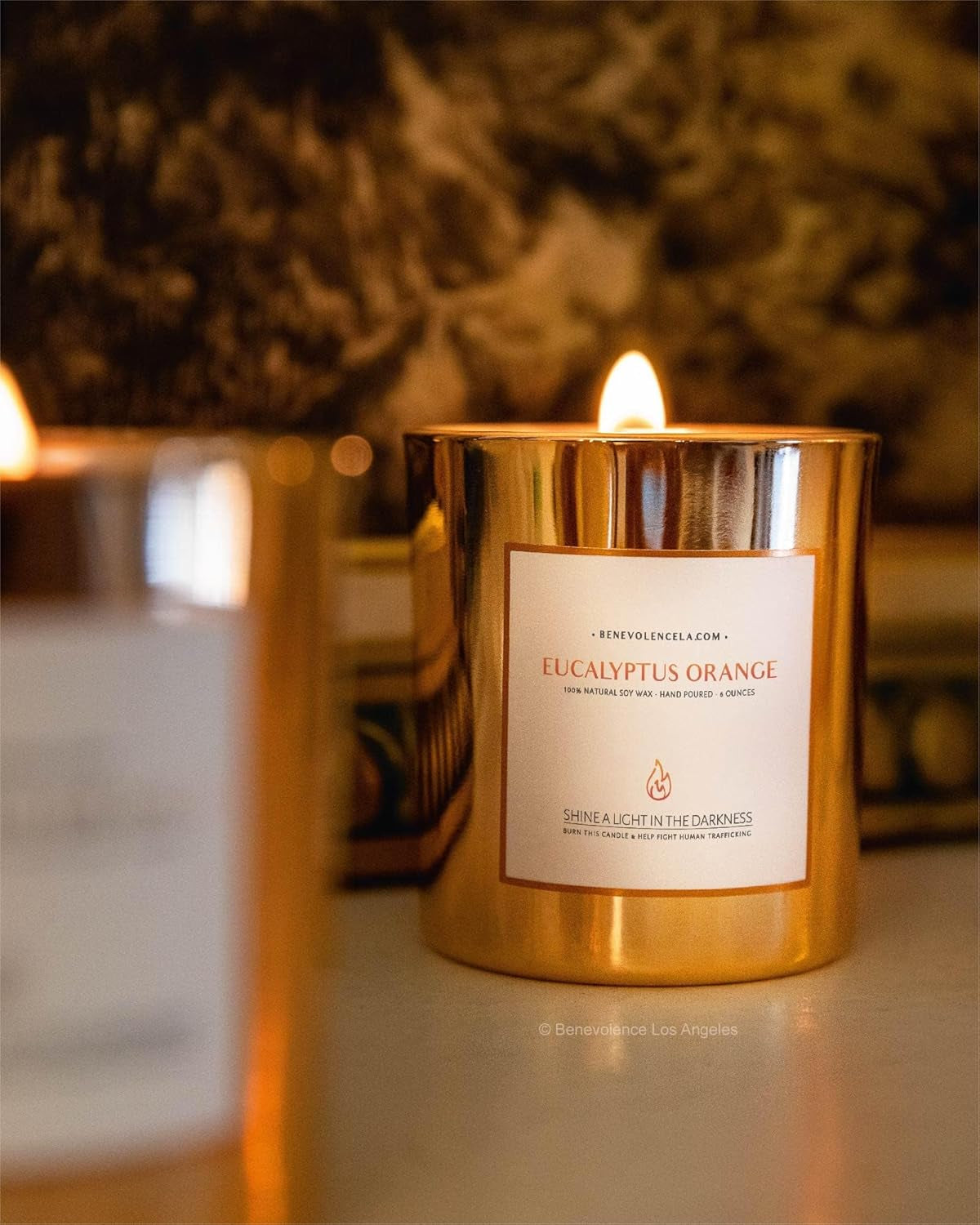 Eucalyptus Orange Wood Wick Candles | Soy Scented Candles for Home | Gifts for Women and Men | Home Fragrance | Aromatherapy | Shelf Decor, Bathroom Freshener | 8Oz, 45 Hour Burn