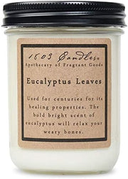 - 14 Oz. Jar Soy Candles - (Eucalyptus Leaves)